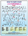 What to Study? Chart