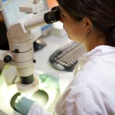 Career-Medical-Lab-Technology