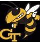 Georgia Institute of Technology - Georgia Tech