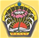 M.H.D. GovernmentCollege Of Home Sc.For Women Logo