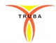 Truba Institute of Engineering & Information Technology. Logo