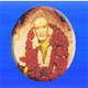 Sri Sai Nath P.G. Institute of Homoeopathy Logo