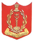 A F M C College Of Nursing , Pune Logo