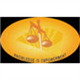Excel Law College Ghailla Logo