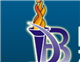 Desh Bhagat University Logo