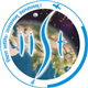Indian Institute of Space Science and Technology Logo