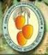 Central Institute of Sub Tropical Horticulture, Lucknow Logo