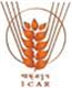 Central Rice Research Institute, Cuttack Logo
