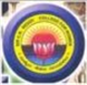 Sir CRR College for Women Logo
