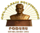 Col. D.S.Raju Polytechnic,Poduru Logo